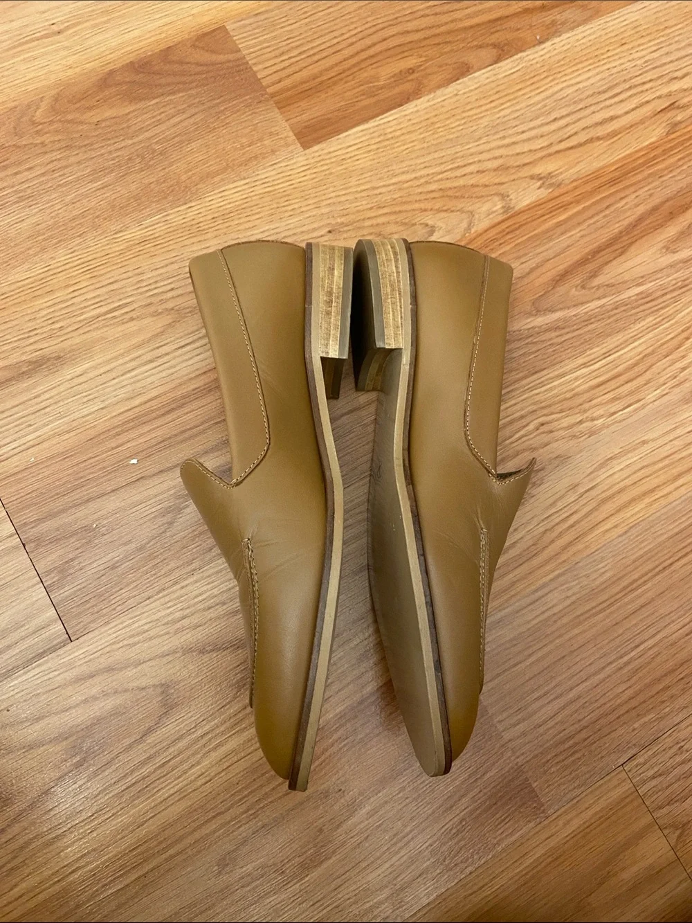 Everlane new classic